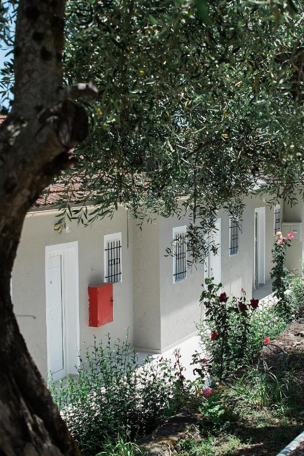 Olive Grove Poolside Apartments Benitses  Exterior foto